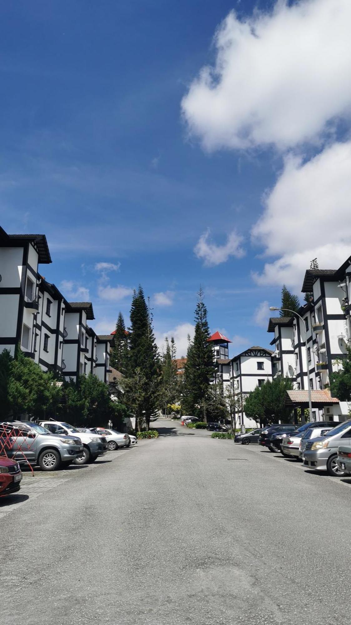 Cameron Greenhill Homestay