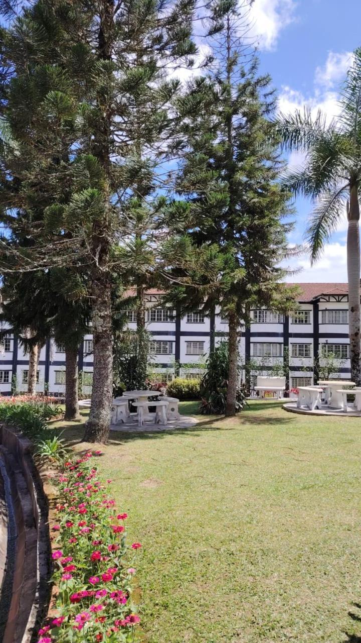 Homestay Cameron Greenhill
